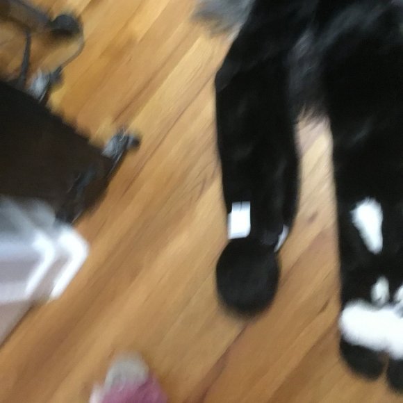 Candystripper bunny faux fur scarf new - Picture 4 of 4